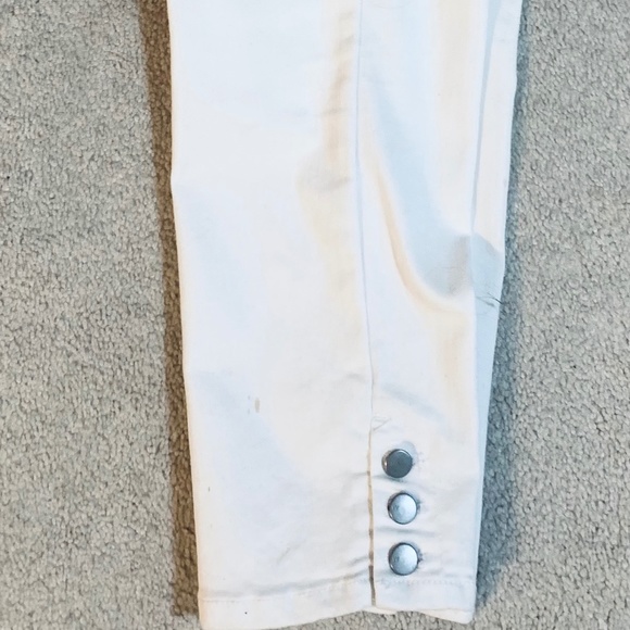 dress barn westport pants